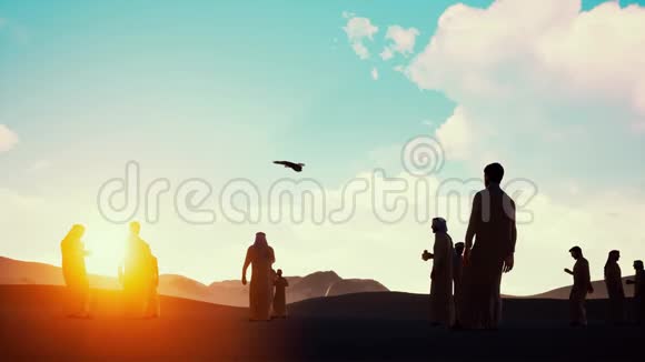 夕阳下的剪影阿拉伯男子与食鸟在沙漠沙视频的预览图