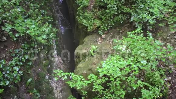 山峡有冷水流绿林和石头视频的预览图