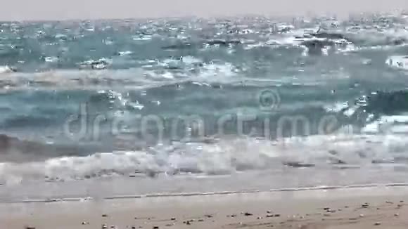 海浪视频的预览图