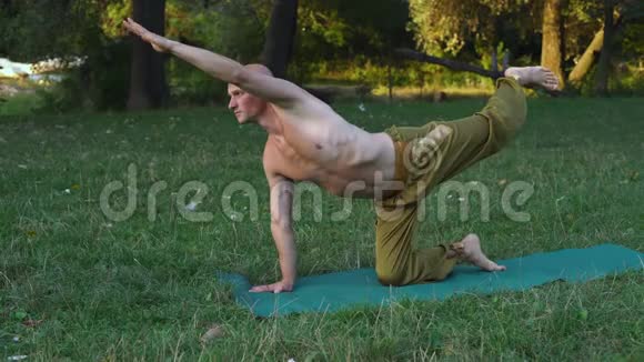 裸躯干的年轻人在瑜伽体操中表演在森林的峡谷中表演阿萨纳视频的预览图