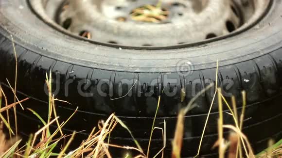 汽车轮胎躺在草地上视频的预览图