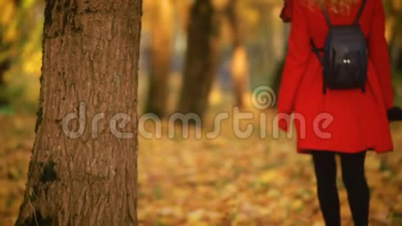 在秋天公园散步的女人视频的预览图