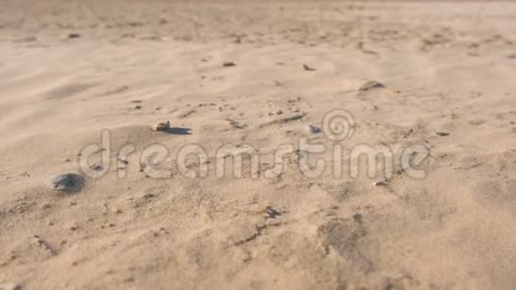 沙滩上的沙尘暴特写视频的预览图