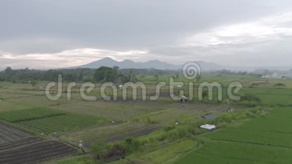 巴图尔阿贡火山和稻田在巴厘岛4K钻射视频的预览图
