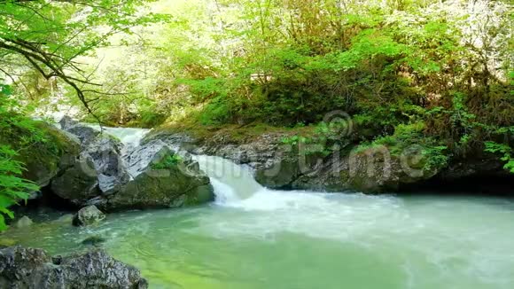 一条山河的溪流从绿色森林环绕的大石头上迅速落下视频的预览图