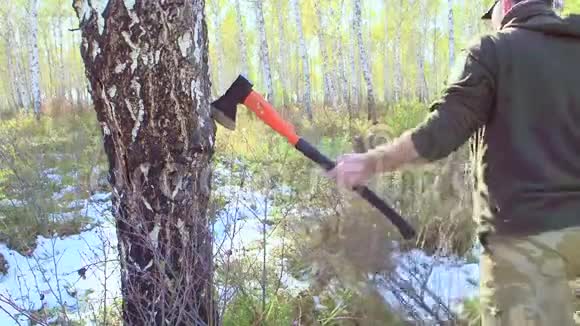 这个人正在用斧头砍木头原木上木屑的细节视频的预览图