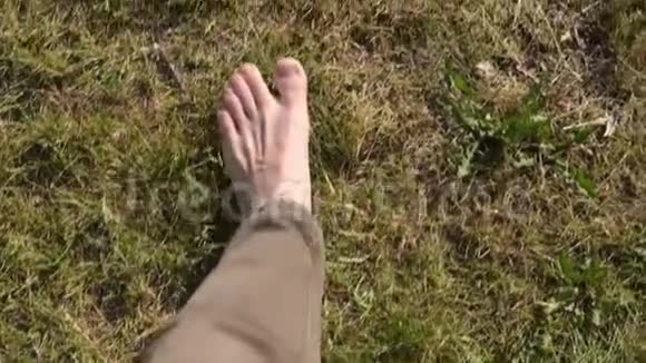 女人赤脚踩在草地上视频的预览图