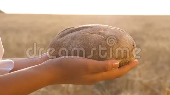 女孩手中的面包越过麦田手心上美味的面包新鲜黑麦面包成熟的耳朵视频的预览图
