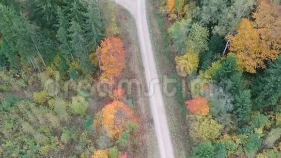 在秋天的森林和碎石路上空空中飞起视频的预览图