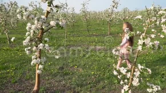 小女孩绕着苹果园散步视频的预览图