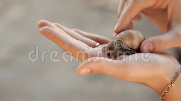 一个女人手里拿着蜗牛视频的预览图