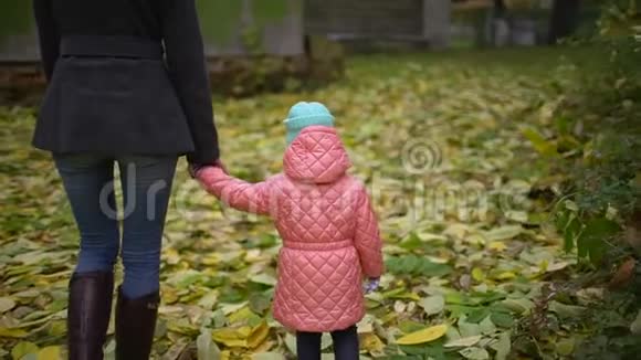 一位带着孩子的漂亮年轻女子正在一个秋天的公园里散步从后面看有一点幸福的母亲视频的预览图