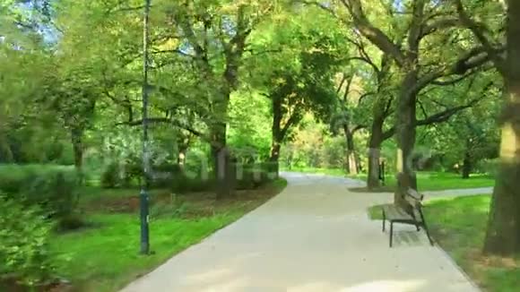 夏季沿城市公园道路行驶视频的预览图