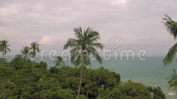 泰国棕榈树和岩石海滩视频的预览图