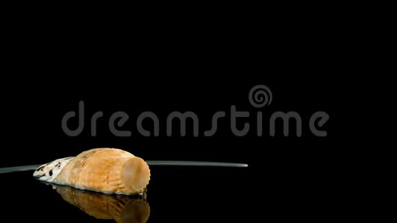 反向演播室拍摄冰淇淋蛋筒融化在黑色背景时间推移视频的预览图