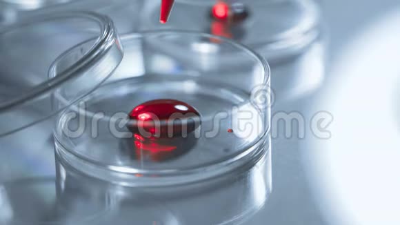 科学家在培养皿中加入血液或红色液体概念实验室测试视频的预览图