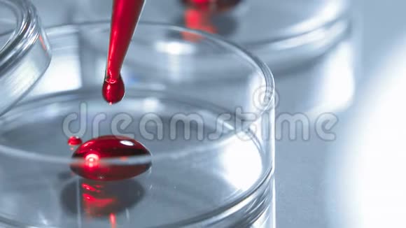 科学家在培养皿中加入血液或红色液体概念实验室测试视频的预览图