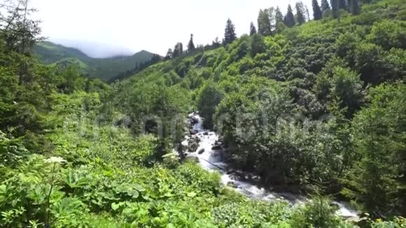 土耳其阿尔特文黑海地区美丽的绿色自然景观视频的预览图