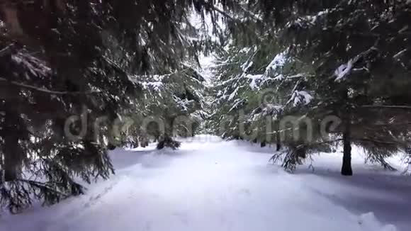 马祖里诺公园美丽的冬季景观视频的预览图