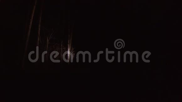 一个人带着灯笼在黑暗的森林里散步视频的预览图