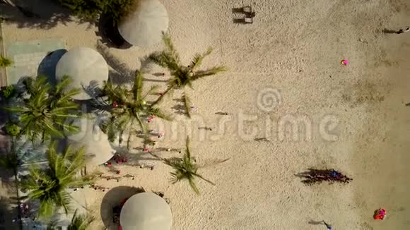 孩子们在海滩上玩着阳伞和假树视频的预览图