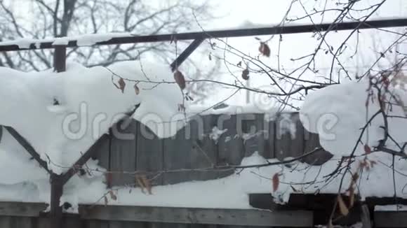 乡间别墅外的冬景雪中的木栅栏和树木视频的预览图