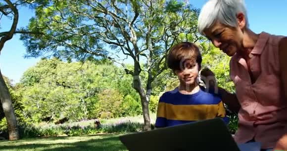 祖母和孙子在公园里用笔记本电脑视频的预览图