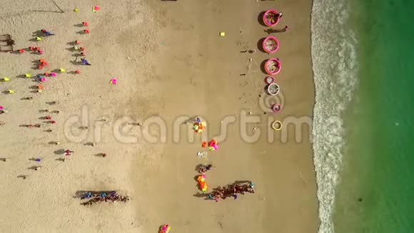 孩子们离开海滩消失在棕榈树下视频的预览图