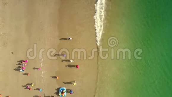 老师把孩子们分成一组沙滩海浪翻滚视频的预览图
