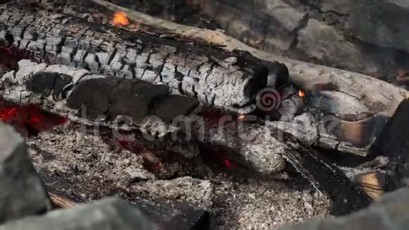 传统烹饪方式中的柴火焰视频的预览图