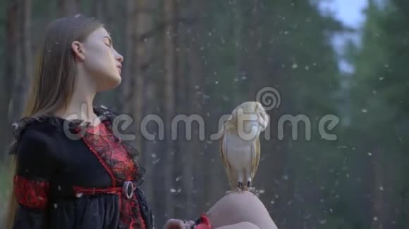 一个穿着黑色连衣裙的长发女孩审视着一只猫头鹰坐在膝盖上羽毛从天空中飘落动作缓慢视频的预览图