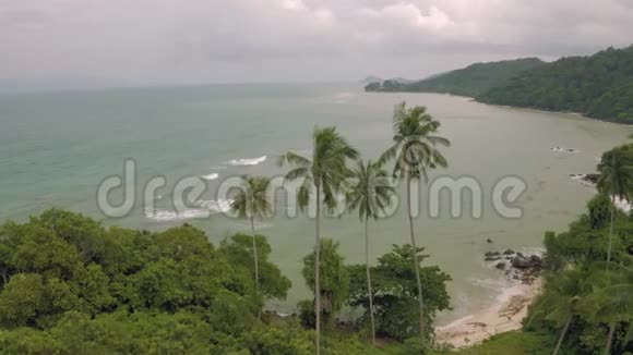 泰国棕榈树和落基海滩4kDrone拍摄视频的预览图