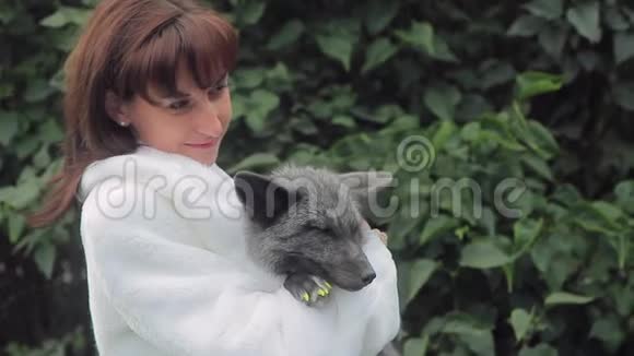 夏天年轻女子抱着灰狐站在绿树旁视频的预览图