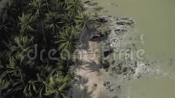 落基海滩泰国棕榈树4KDrone拍摄视频的预览图