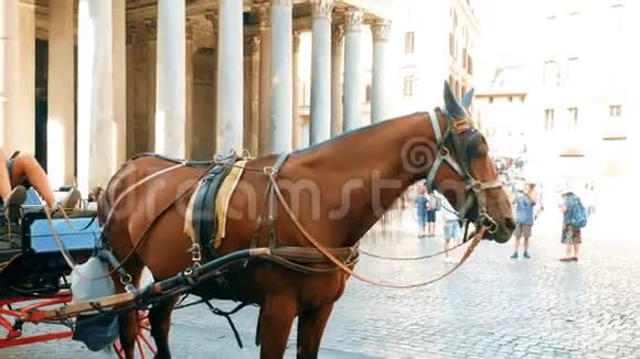 罗马万神殿广场上运送游客的马车视频的预览图