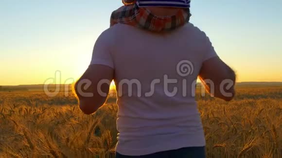 幸福的家庭父亲抱着一个儿子在肩膀上谁走在麦田里看日落视频的预览图