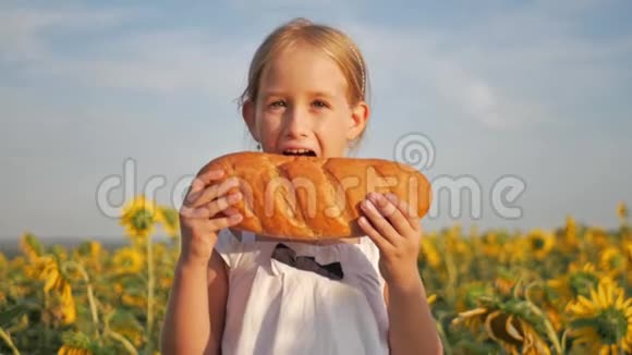 特写小女孩在向日葵的田野里吃面包女孩在户外吃面包视频的预览图