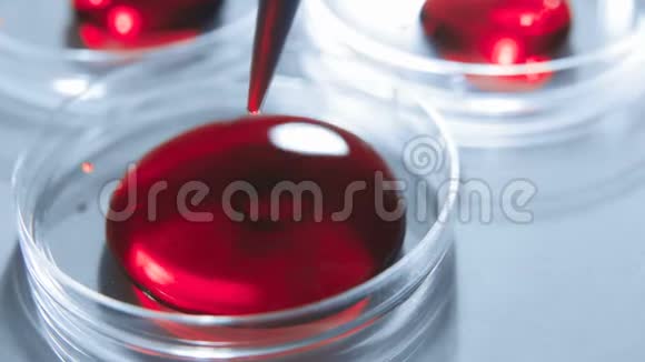 培养皿中的化学研究带红色液体的实验室吸管视频的预览图
