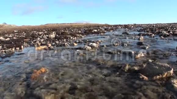 北极斯瓦尔巴德冰雪融化后小溪在石头上清洁清澈的水视频的预览图