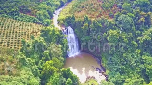无人观山河在雨林中形成瀑布视频的预览图