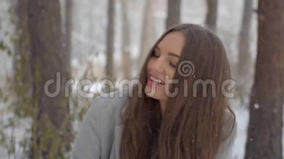 美丽的年轻女子在冬天的公园里喂松鼠笑脸的特写慢动作她冬天很快乐视频的预览图
