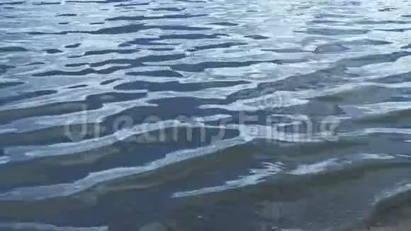 平静的海浪视频的预览图