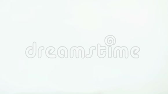 白色背景小狗穿黑色帽衫录像片段快乐的小精灵杰克罗素幼犬视频的预览图