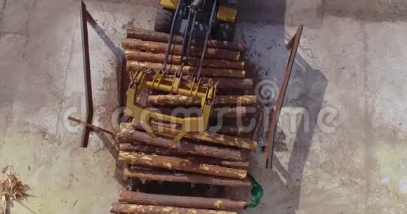 锯木厂的工作流程推土机在一家木工工厂的输送机上卸下原木视频的预览图