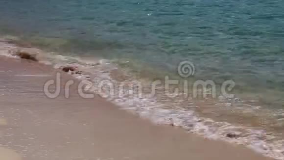巴哈马猫岛海滩实时视频的预览图