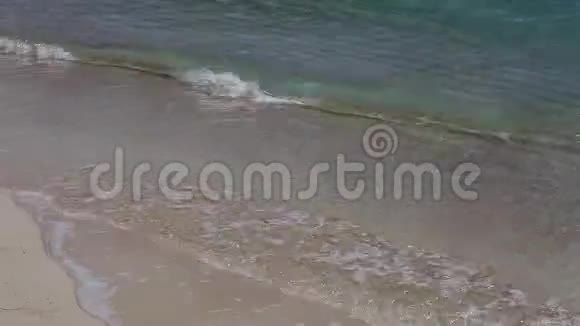 巴哈马猫岛海滩实时视频的预览图