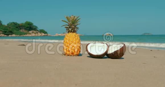 在热带异国海岸炎热的夏日阳光下的热带海滩上站在沙滩菠萝和视频的预览图