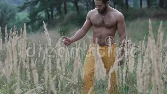 大胡子运动员在草原上行走触摸草耳视频的预览图