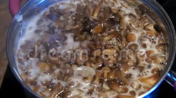 做蘑菇布莱特斯素食厨师烹饪锅中的蘑菇视频的预览图