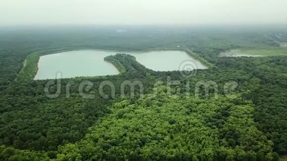 空中无人机镜头飞越湖泊和森林美景鸟瞰视频的预览图
